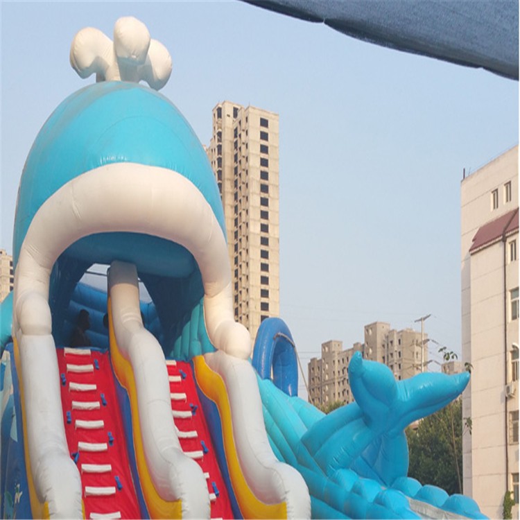 绥棱充气水上滑梯